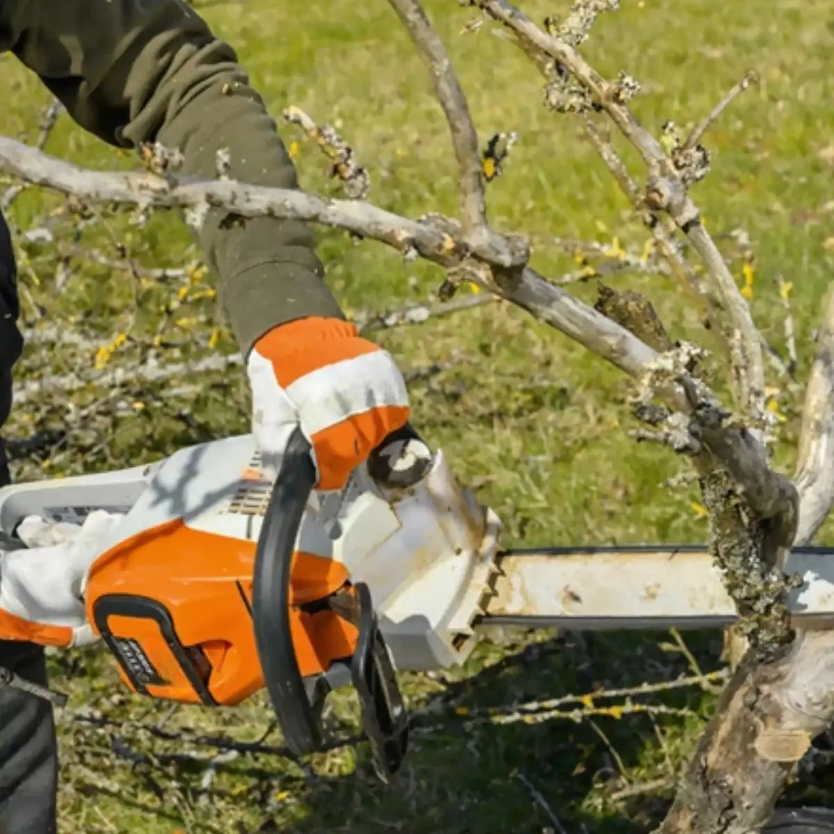 Rezultat pracy z CutTech Pro w ogrodzie warzywnym