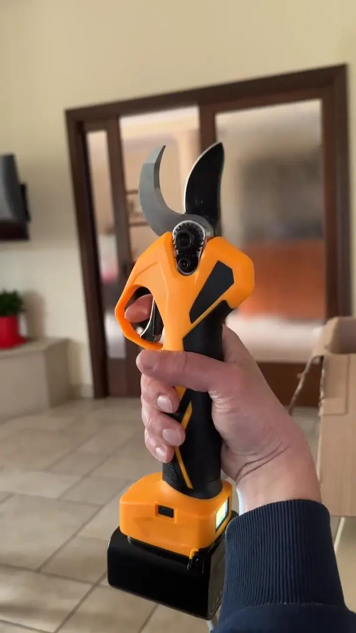 Professzionális kertmetszés idősebb felhasználó által